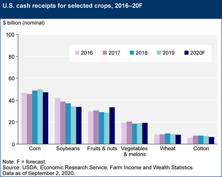 USDA projects net farm income to be up for 2020